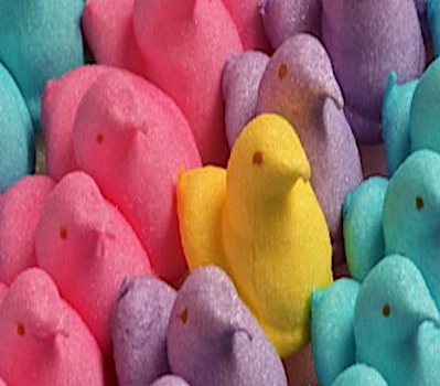 Peeps! - Sharon Lathan, Novelist